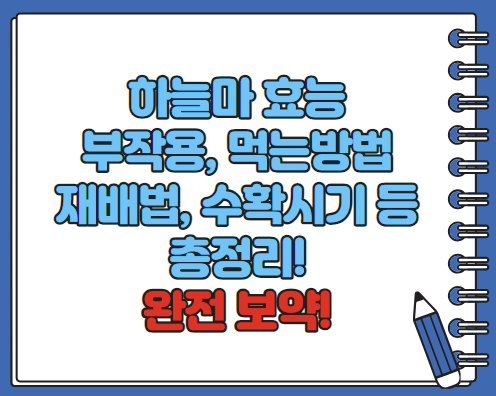 하늘마 효능 부작용 하늘마 먹는방법 보관방법 총정리 (최신)