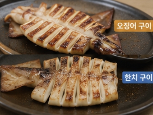 한치와 오징어 차이
