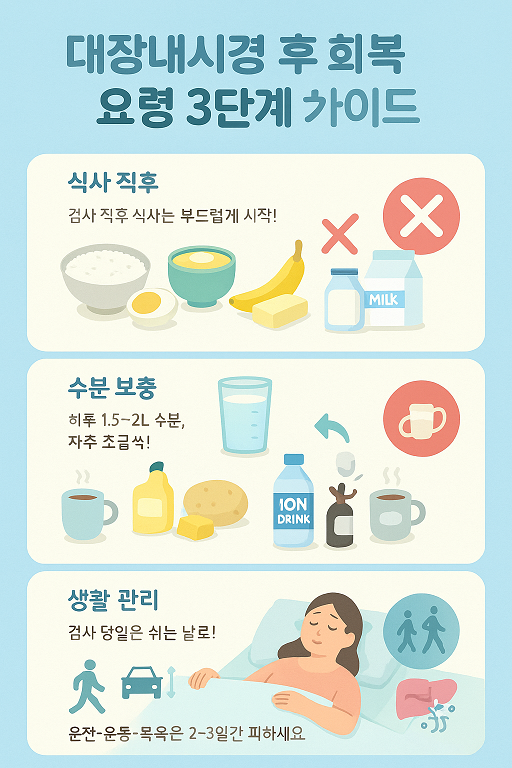 본문 내용 요약 이미지