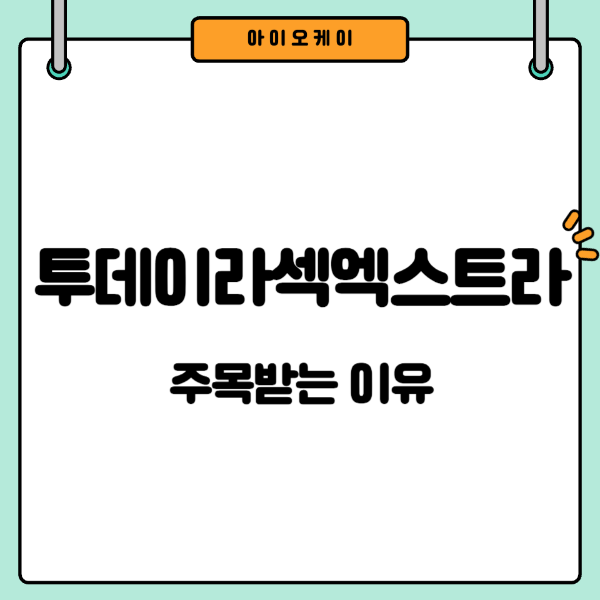 엑스트라-투데이라섹