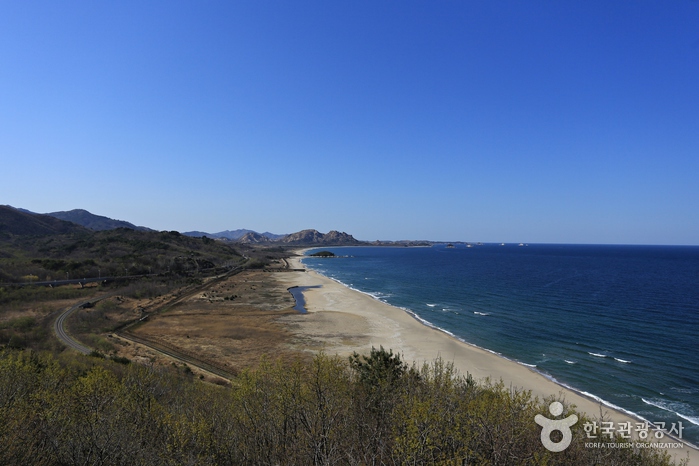 고성 가볼만한곳 베스트10