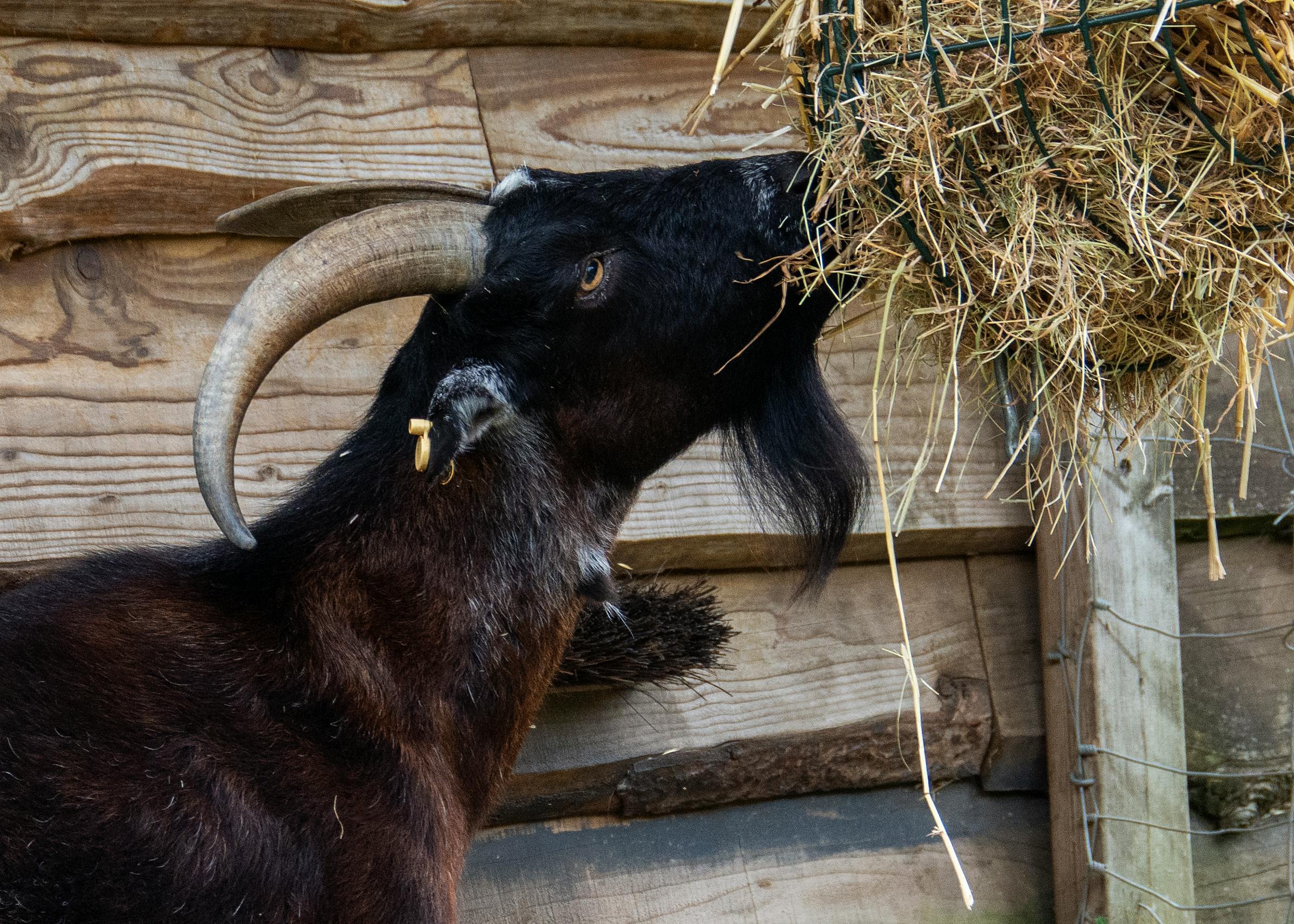생계급여 신청&amp;#44; 조건부터 온라인 접수까지 총정리