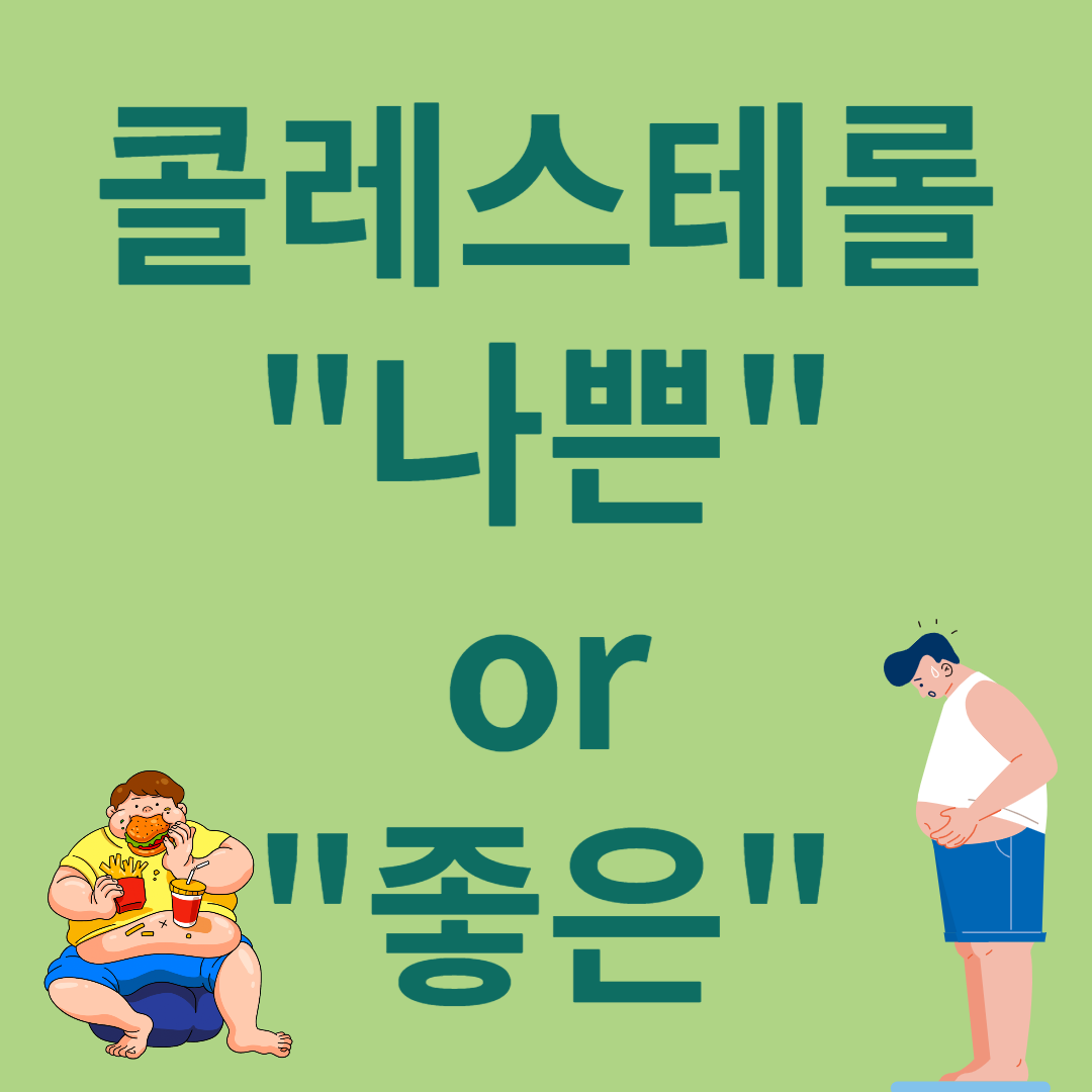 콜레스테롤