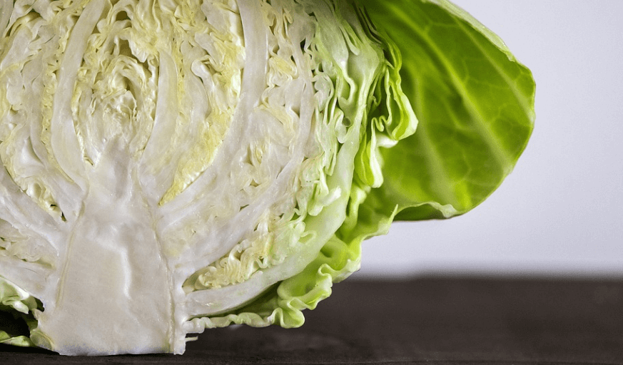 양배추가 절반으로 잘라져 있다