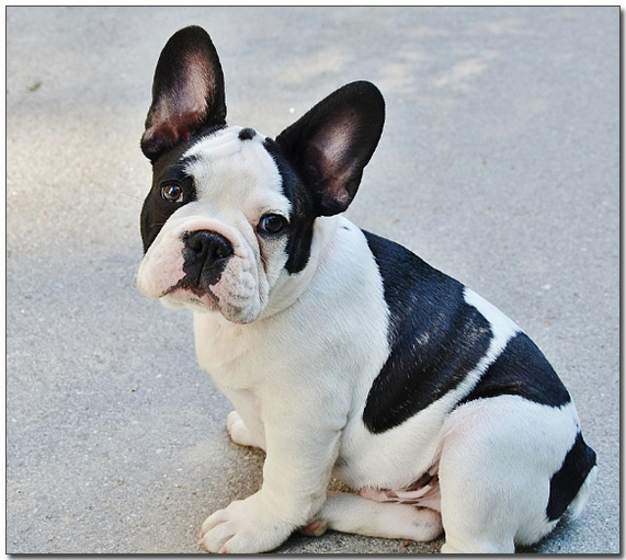 ์ผ๋ฃฉ๋ฌด๋ฌ ํ๋ ์น ๋ถ๋