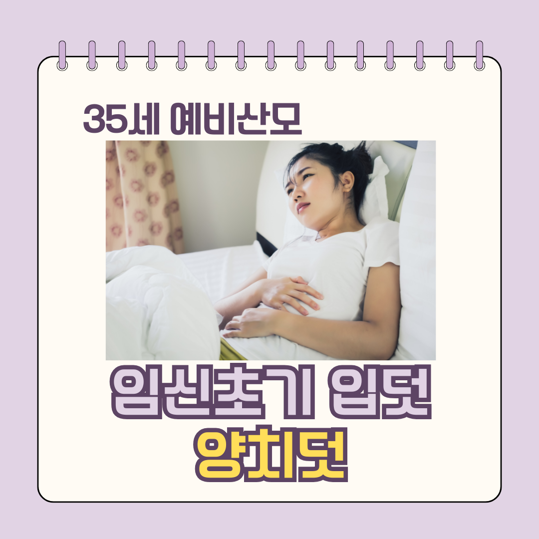임신초기 입덧 원인 양치덧