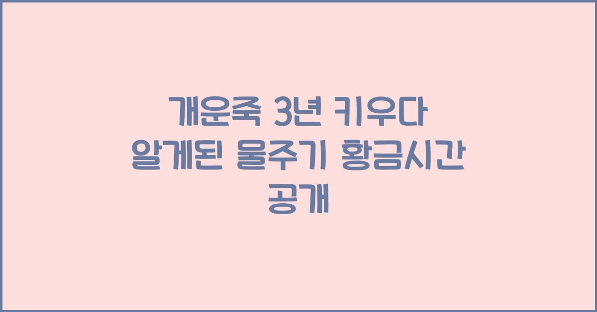 개운죽 3년 키우다 알게된 물주기 황금시간