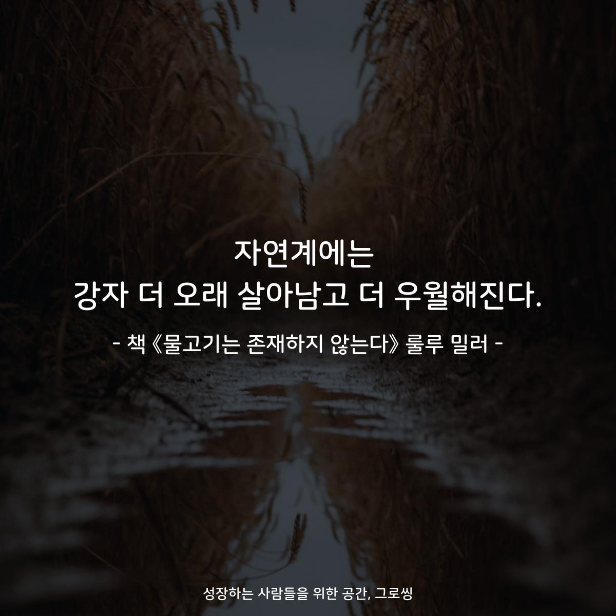 자연계에는
강자 더 오래 살아남고 더 우월해진다.