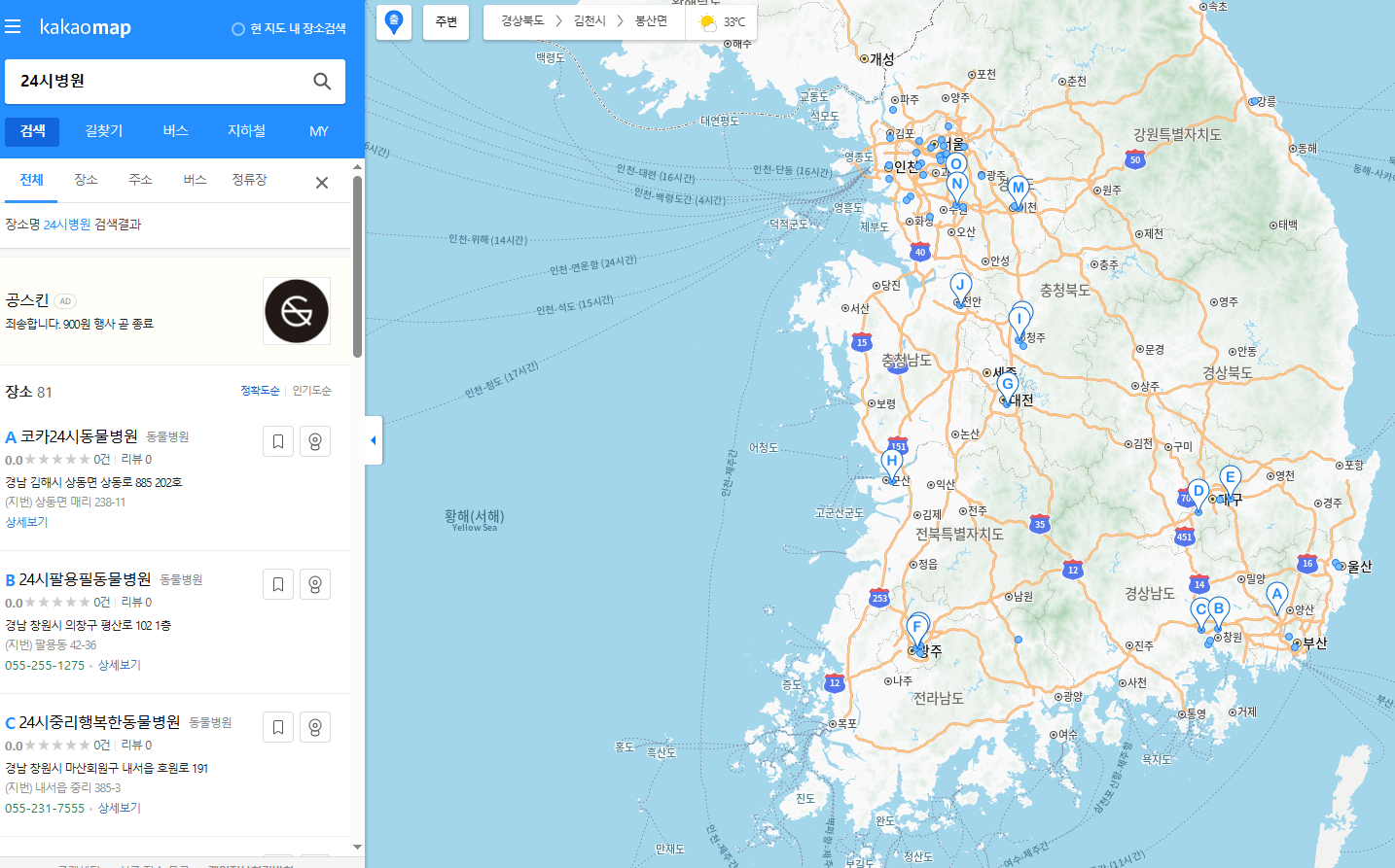 카카오맵 병원 검색 화면