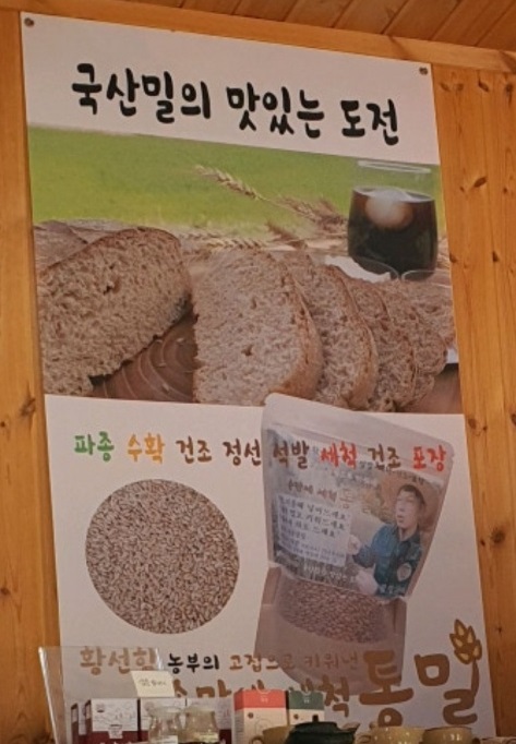 한국인의밥상-금산-농부빵집-깻잎빵-인삼빵-손끝으로만드는세상-황선학