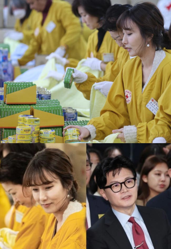 진은정 변호사_한동훈 배우자의 프로필과 가족, 재산-적십자