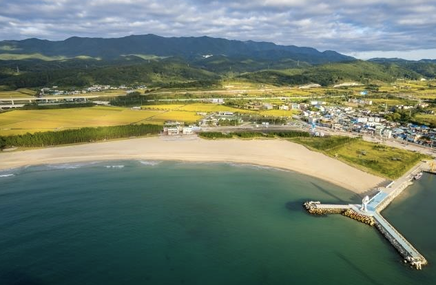 푸른 바다와 숲, 그리고 나를 위한 쉼표🌿 영덕 1박 2일 힐링여행 코스 BEST 5