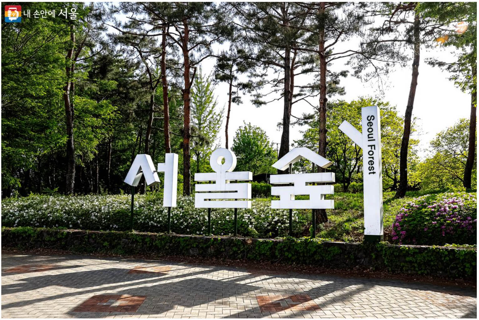 서울숲