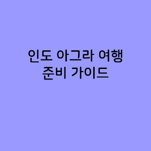 인도 아그라 여행 준비 가이드