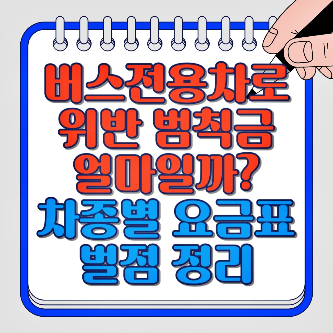 버스전용차로 위반 범칙금 얼마일까? 차종별 요금표 벌점 정리