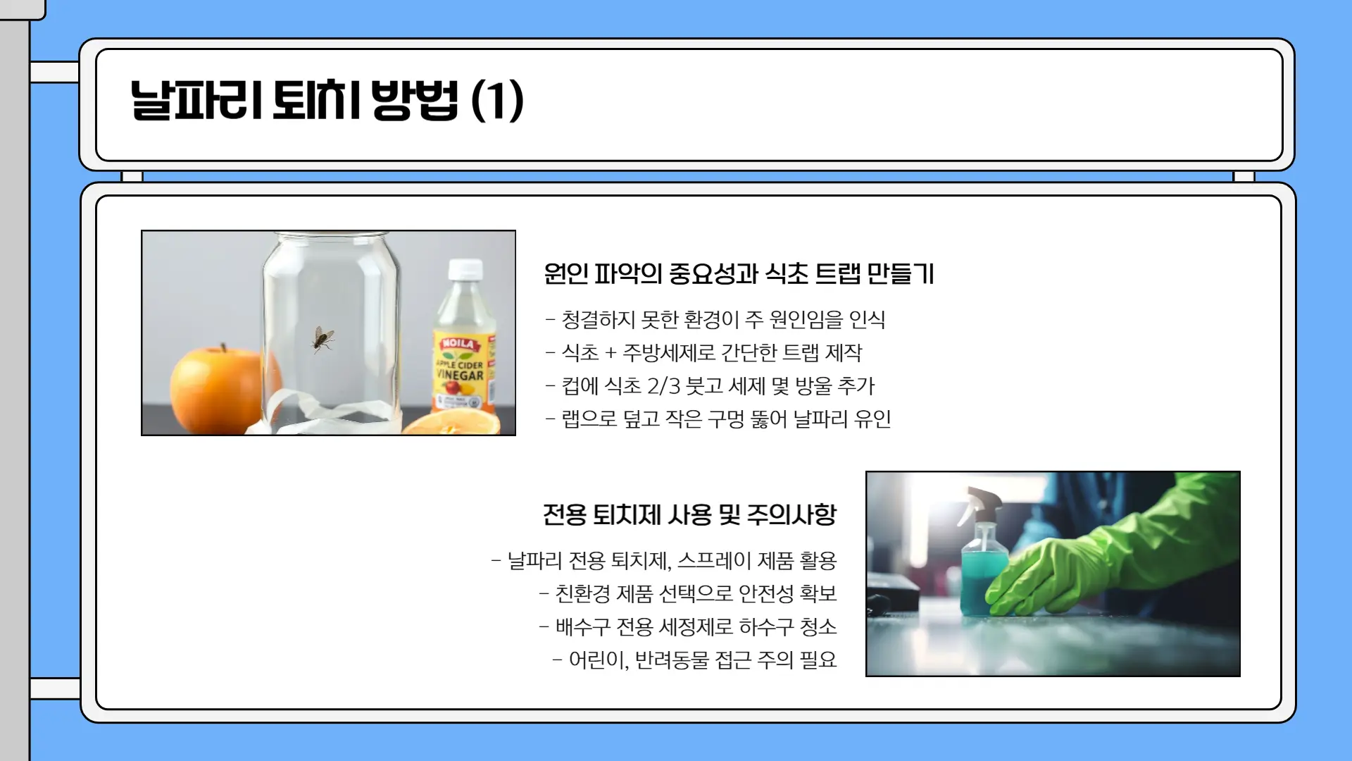 날파리 없애는 방법4