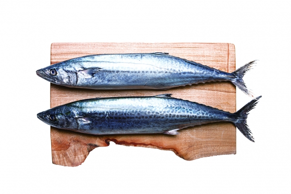 삼치의 효능 및 부작용