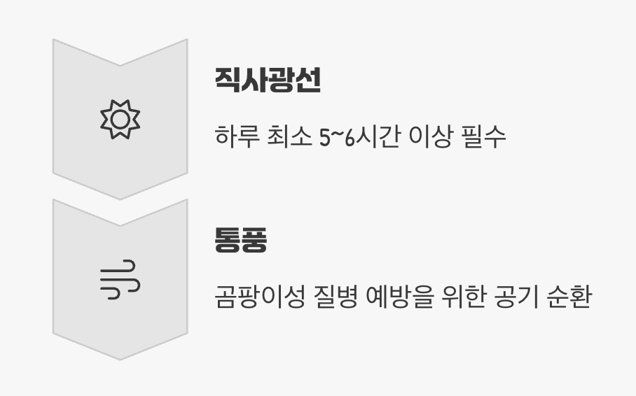 햇볕과 바람이 머무는 명당자리