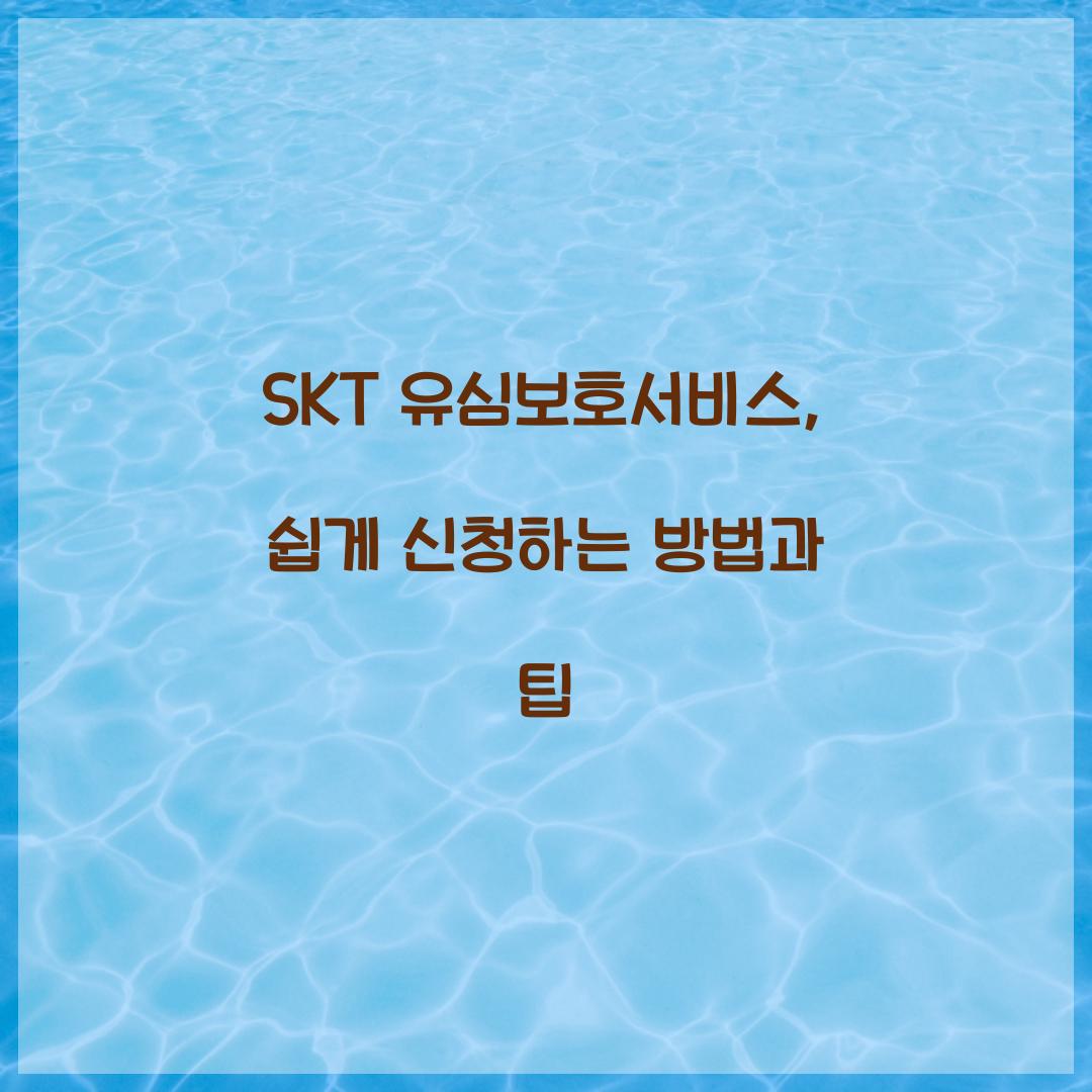 SKT 유심보호서비스