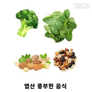 노인 빈혈 원인 관리