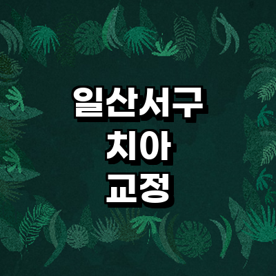고양 일산서구 교정 치과
