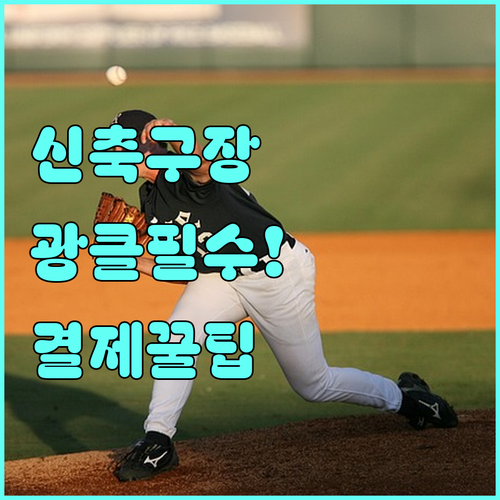 한화 이글스 대전 베이스볼 드림파크 ..