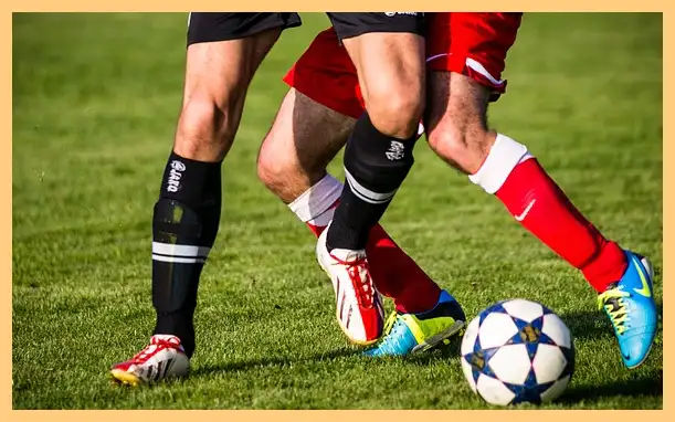 축구 결과 한국 팔레스타인 (하이라이트 동영상)