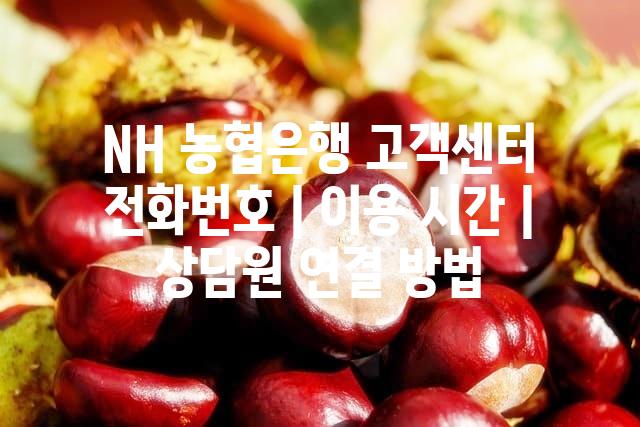 랜덤061
