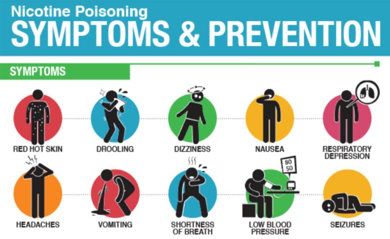 니코틴 중독의 주요 증상 안내 인포그래픽. 피부 발적, 침 흘림, 어지럼증, 구토, 호흡 곤란, 저혈압, 발작 등 시각적으로 표현된 중독 경고 그림