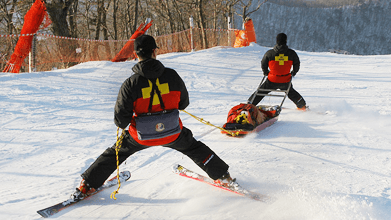 스키장 개장일정