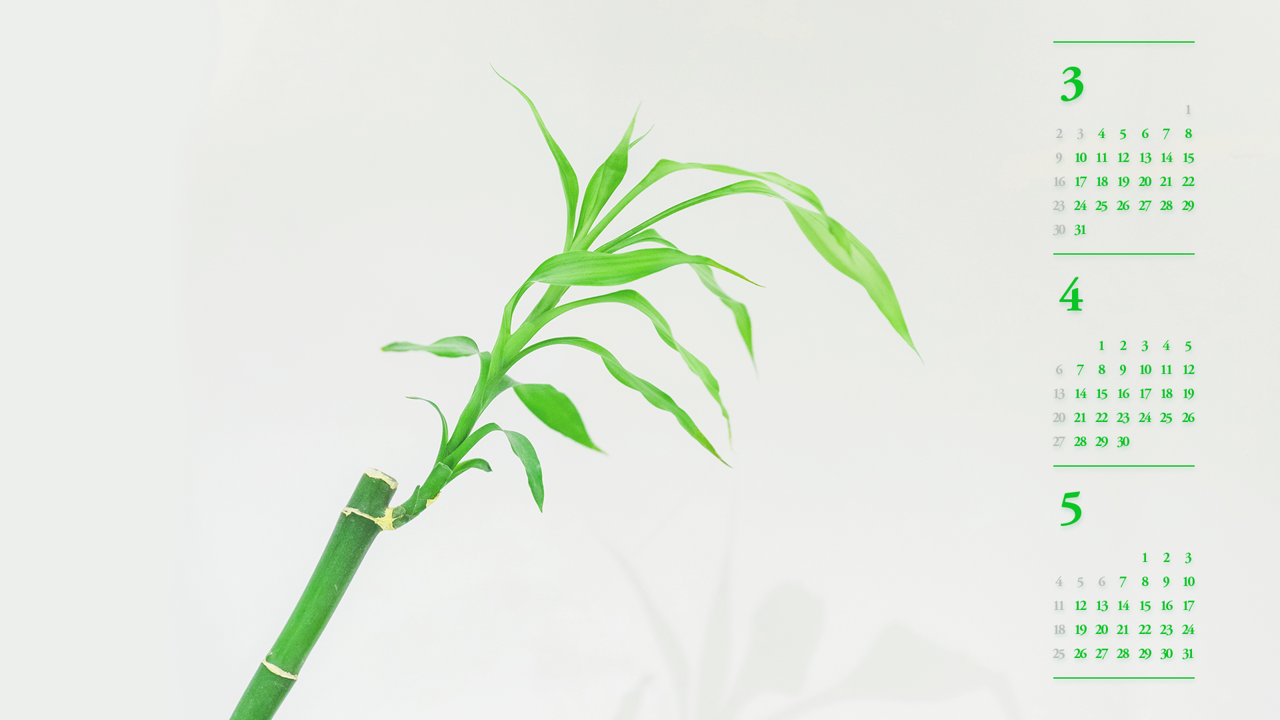 05 대나무가지 B - 2025년4월 노트북배경화면