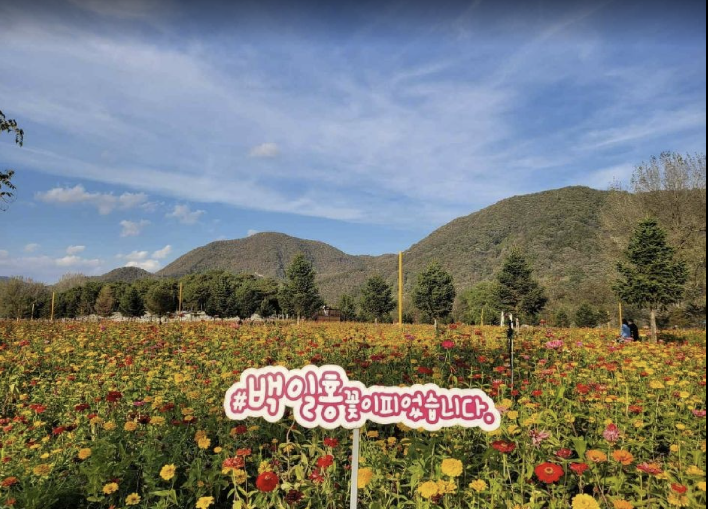 Colorful Garden 자라섬 꽃 페스타