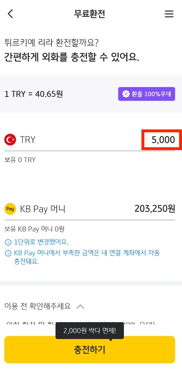 외화 환전