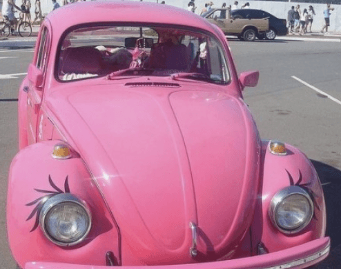  2024년 자동차세 연납신청기간납부방법할인 