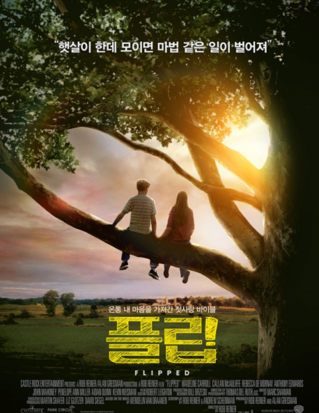 영화 플립 포스터 사진