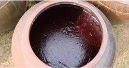 김명성 발효연구소 정보