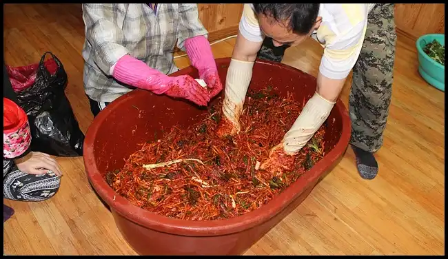 김장 채소 등 재료 할인 최대 50%(+절임배추 사전예약)