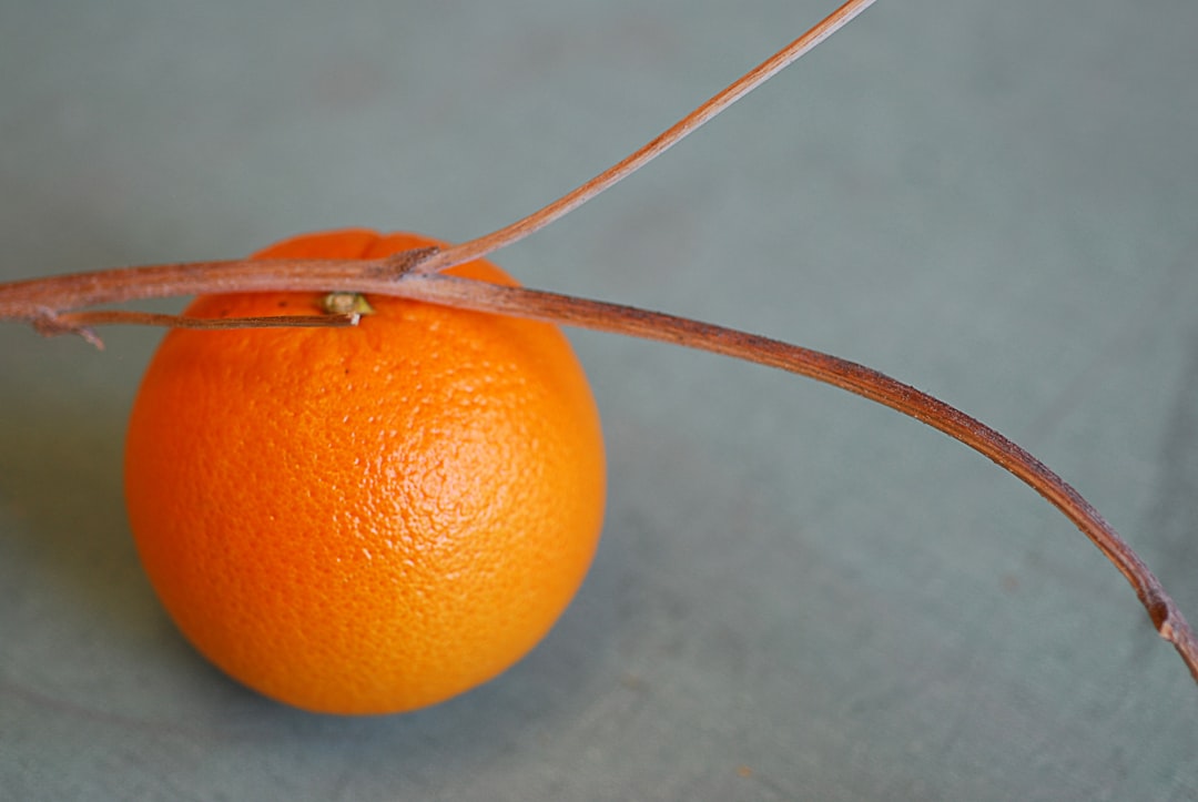 Ginseng