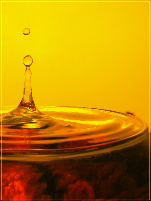 대마종자유 먹는 법