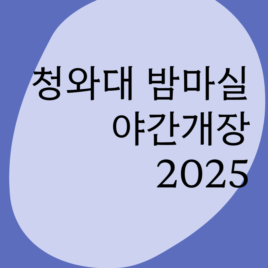 청와대 밤마실 야간개장