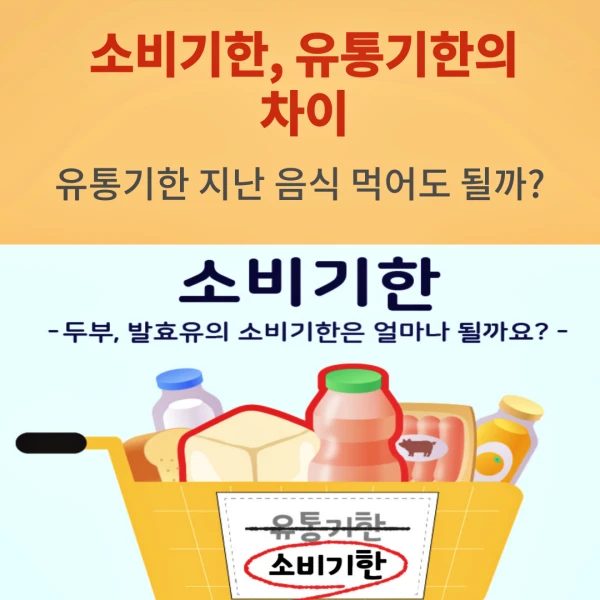 소비기한과 유통기한의 차이점은?
