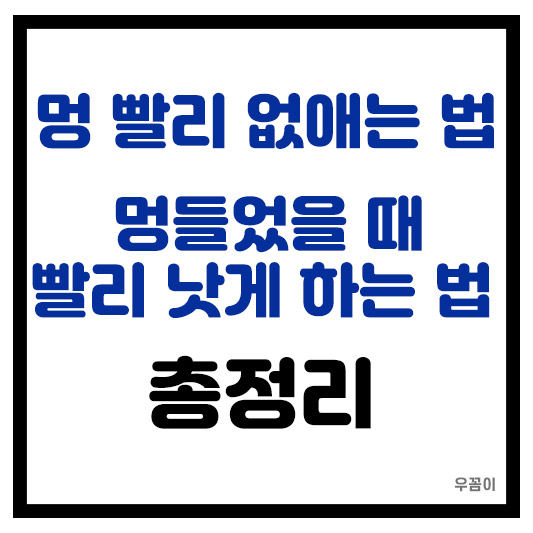 멍 빨리 없애는 방법 멍들었을 때 빨리 낫는 방법