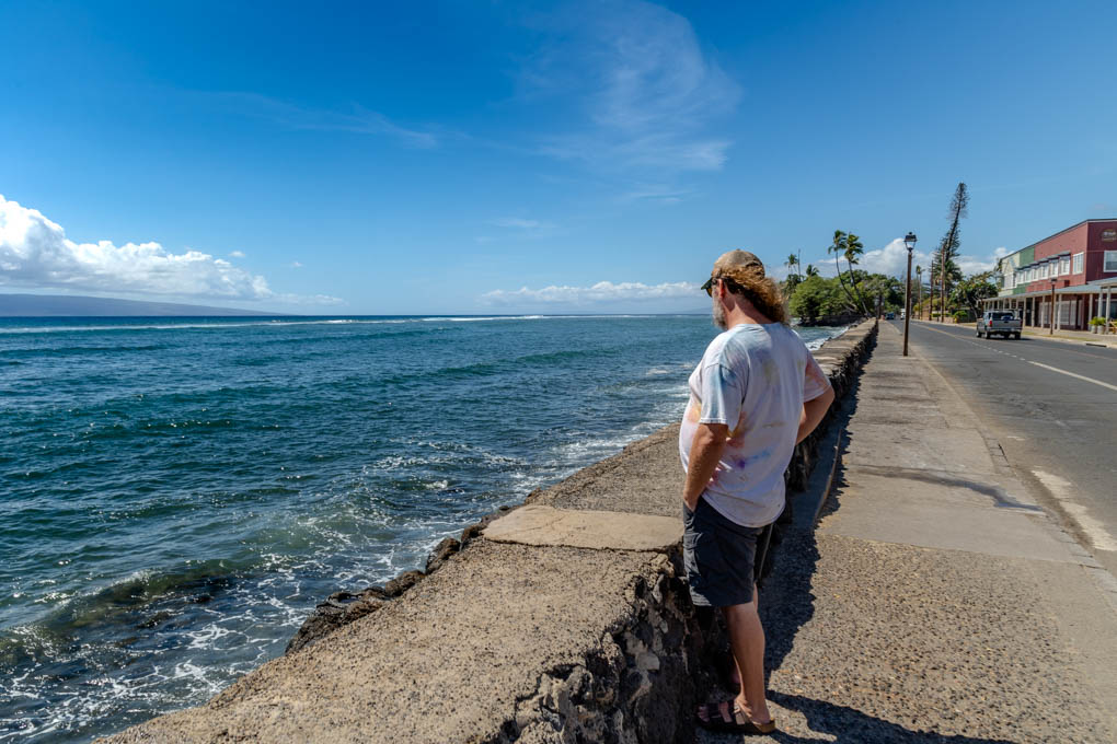 하와이 치즈버거 인 파라다이스