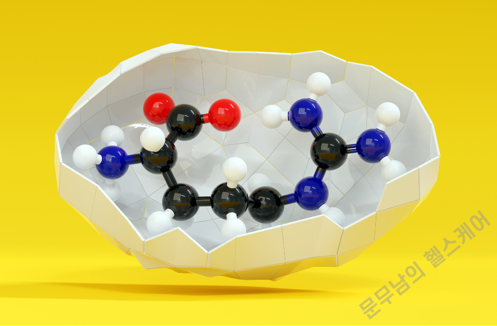 아르기닌 효과 부작용 복용법