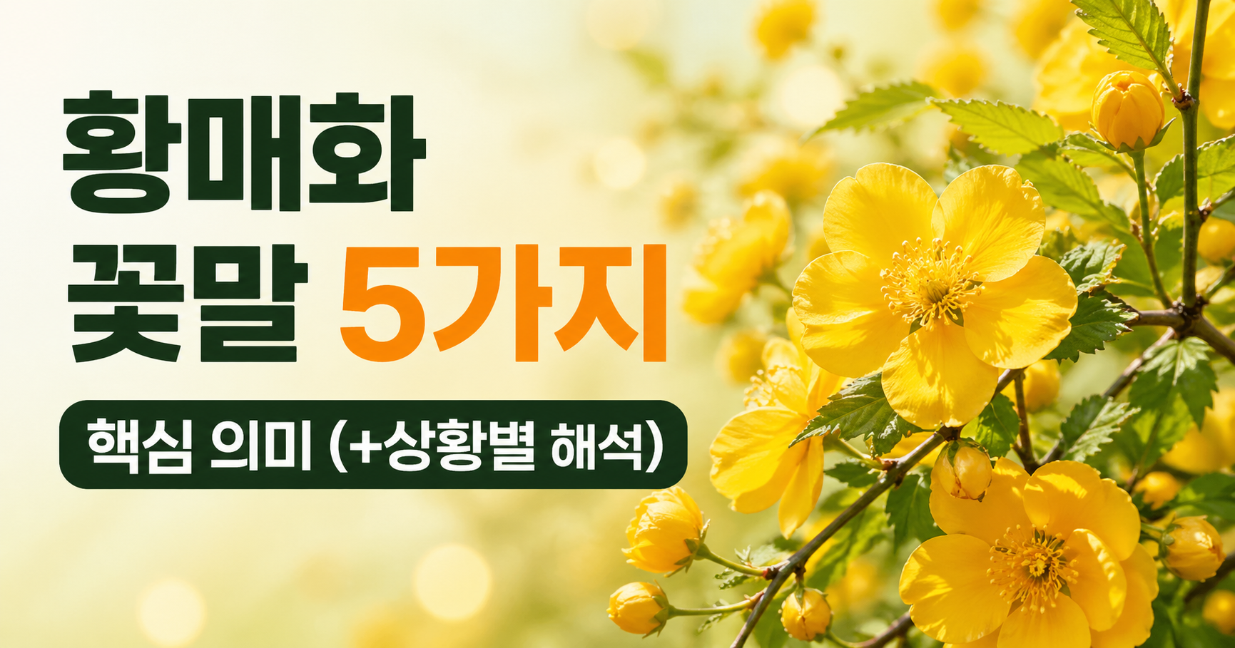 황매화 꽃말