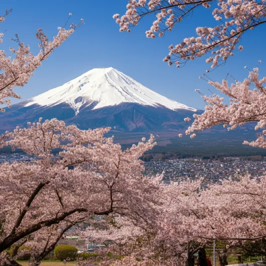 일본 여행을 위한 날씨 (+일본 계절날씨, 여행팁)