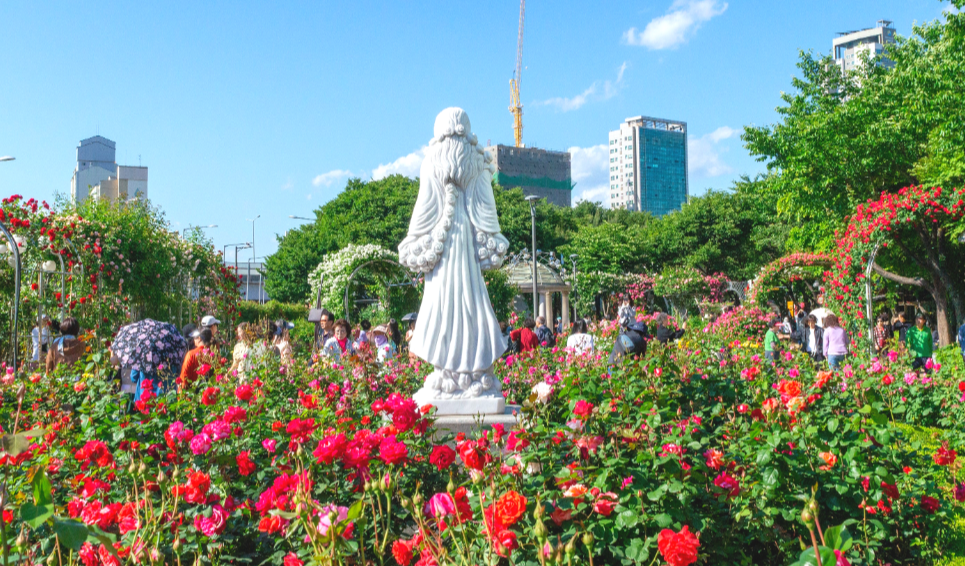 중랑 장미공원1