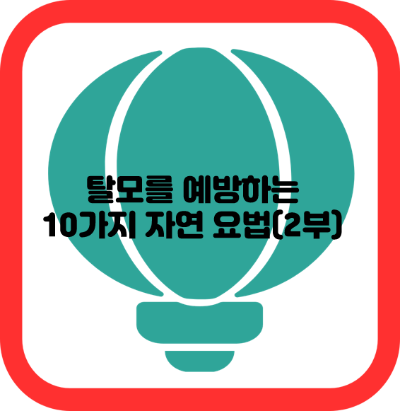 탈모를 예방하는 10가지 자연 요법(2부)