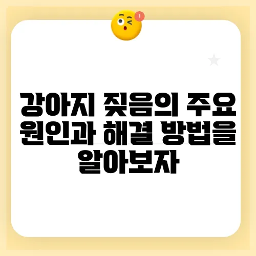 강아지 짖음의 주요 원인과 해결 방법을 알아보자