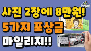 불법주차 신고 포상금